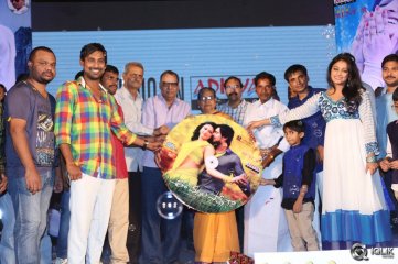 Ee Varsham Sakshiga Movie Audio Launch